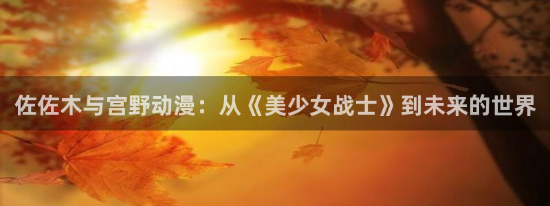 囧 次 元