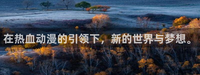 囧次元是什么：在热血动漫的引领下，新的世界与梦想。