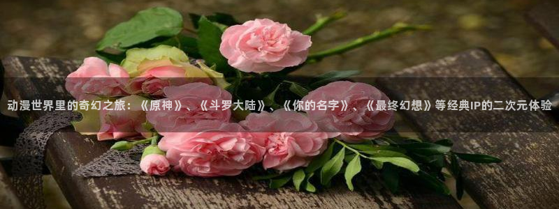 囧次元无广告：动漫世界里的奇幻之旅：《原神》、《斗罗大陆》、《你的名字》、《最终幻想》等经典IP的二次元体验