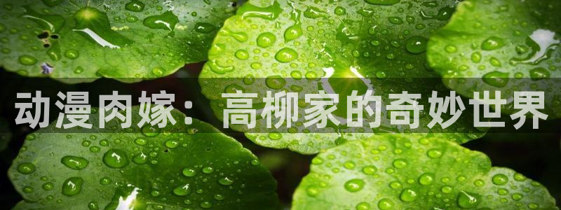 囧次元可看片子版：动漫肉嫁：高柳家的奇妙世界