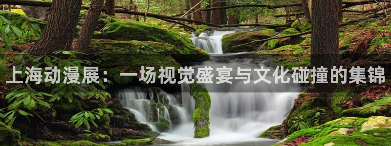 囧次元无广告：上海动漫展：一场视觉盛宴与文化碰撞的集锦
