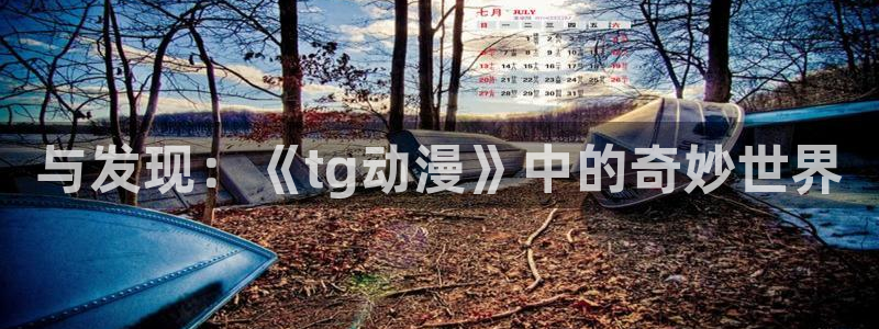 囧次元app官方：与发现：《tg动漫》中的奇妙世界