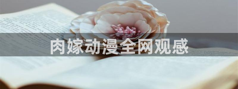 囧次元老版本：肉嫁动漫全网观感