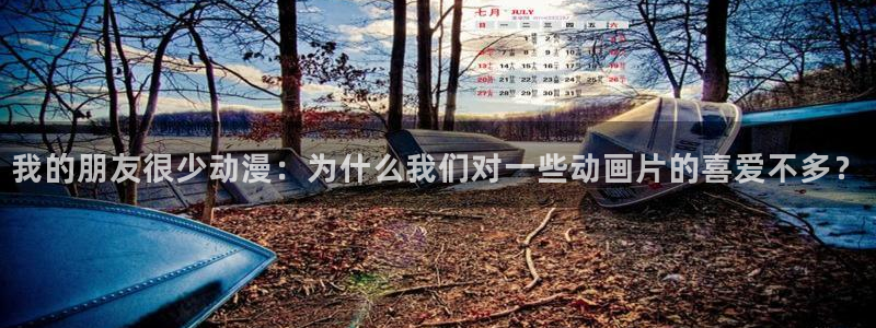 囧次元官方app下载：我的朋友很少动漫：为什么我们对一些动画片的喜爱不多？