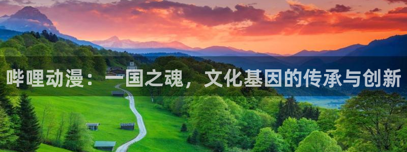 囧次元官方版：哔哩动漫：一国之魂，文化基因的传承与创新